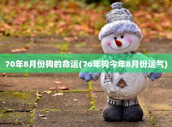 70年8月份狗的命运(7o年狗今年8月份运气)