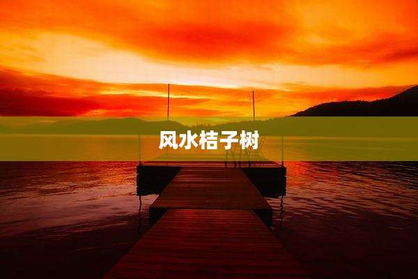 风水桔子树