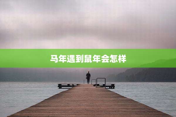马年遇到鼠年会怎样