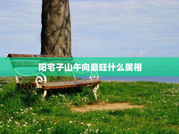 阳宅子山午向最旺什么属相