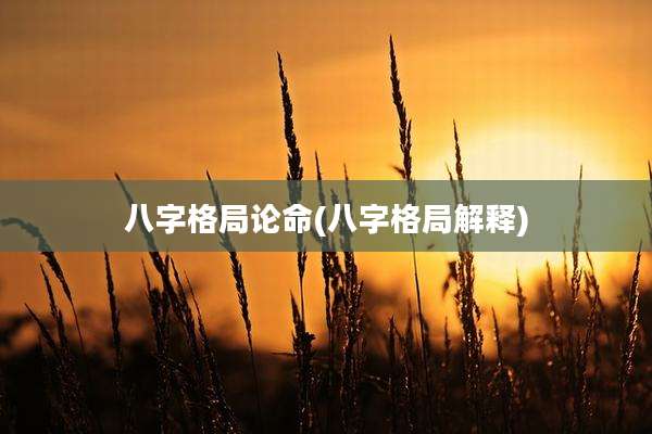 八字格局论命(八字格局解释)