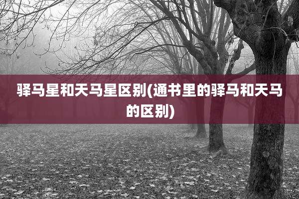 驿马星和天马星区别(通书里的驿马和天马的区别)