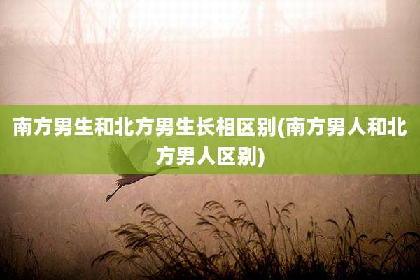 南方男生和北方男生长相区别(南方男人和北方男人区别)