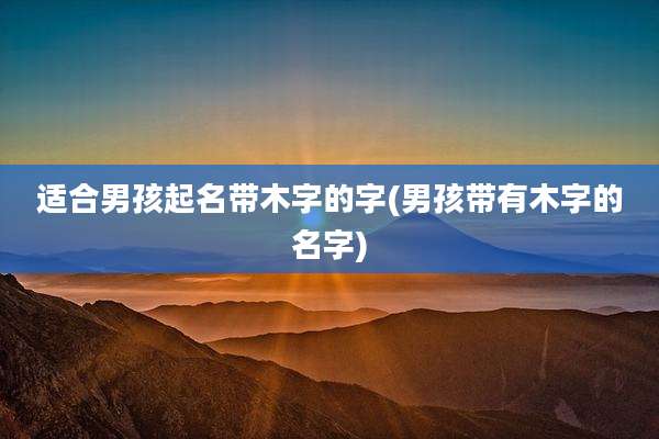 适合男孩起名带木字的字(男孩带有木字的名字)