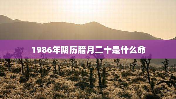 1986年阴历腊月二十是什么命