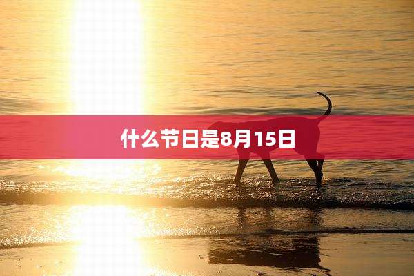 什么节日是8月15日