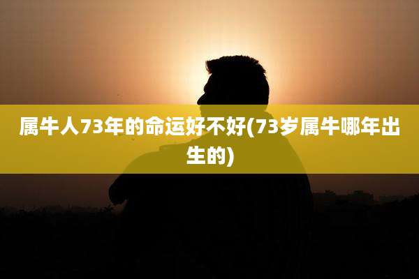 属牛人73年的命运好不好(73岁属牛哪年出生的)