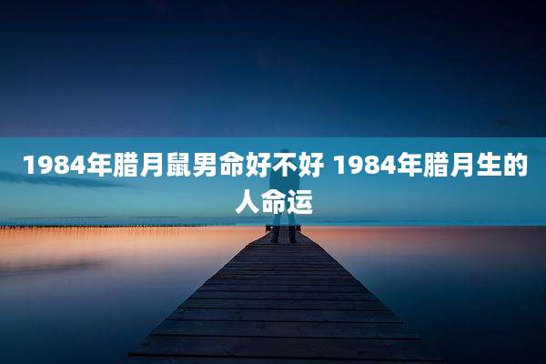 1984年腊月鼠男命好不好 1984年腊月生的人命运