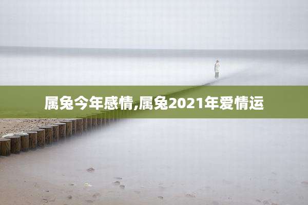 属兔今年感情,属兔2021年爱情运