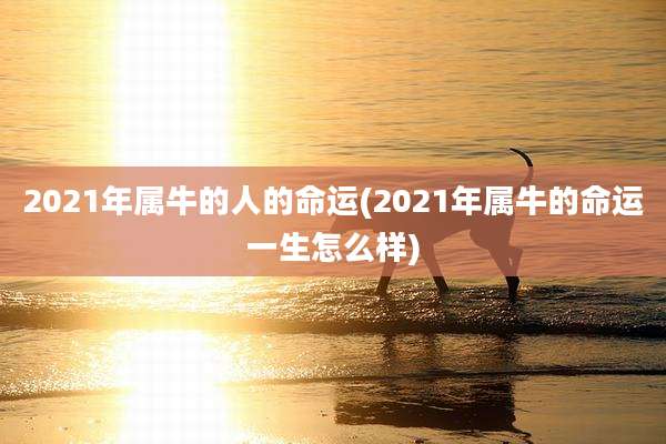 2021年属牛的人的命运(2021年属牛的命运一生怎么样)