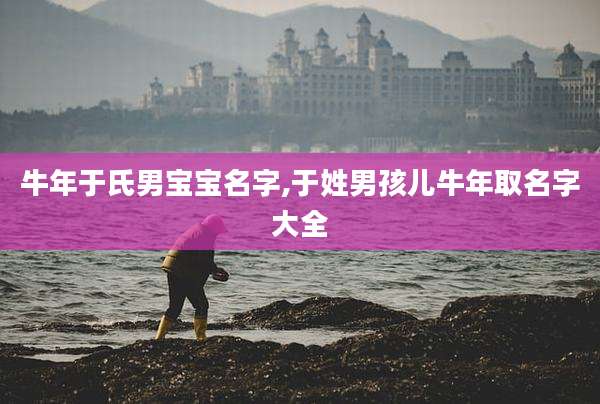 牛年于氏男宝宝名字,于姓男孩儿牛年取名字大全
