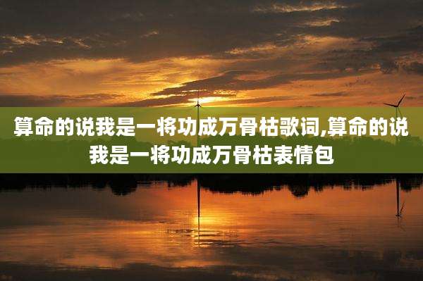 算命的说我是一将功成万骨枯歌词,算命的说我是一将功成万骨枯表情包