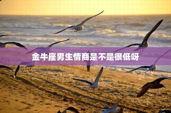 金牛座男生情商是不是很低呀