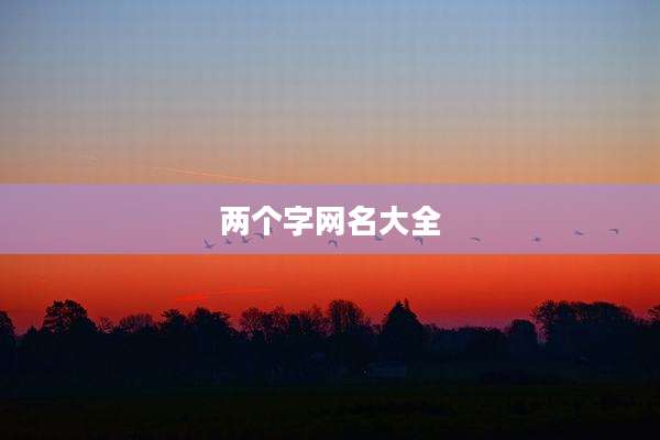 两个字网名大全