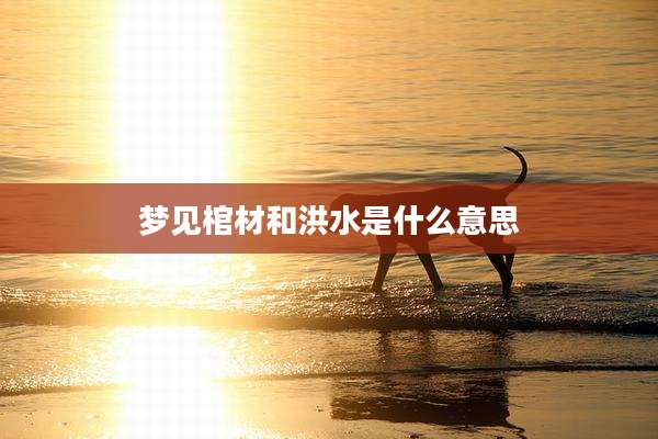 梦见棺材和洪水是什么意思