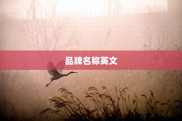 品牌名称英文