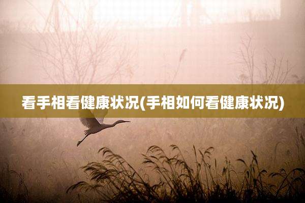看手相看健康状况(手相如何看健康状况)