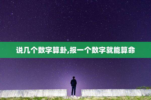 说几个数字算卦,报一个数字就能算命