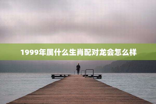 1999年属什么生肖配对龙会怎么样