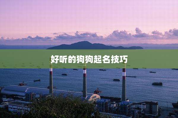 好听的狗狗起名技巧