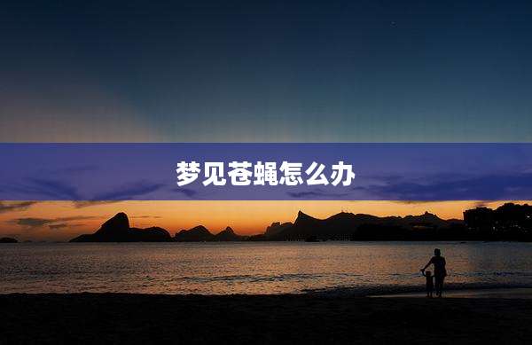 梦见苍蝇怎么办