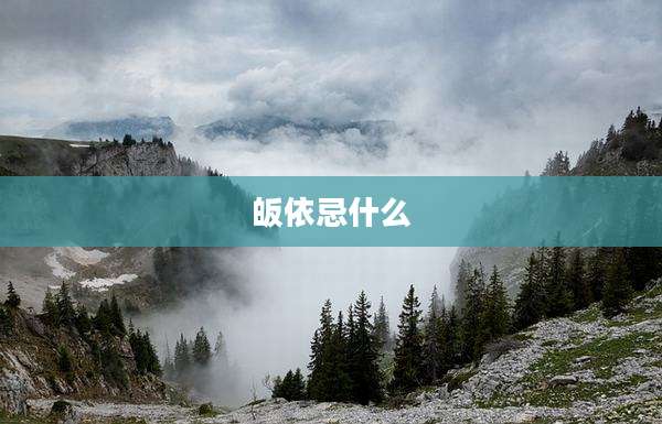 皈依忌什么