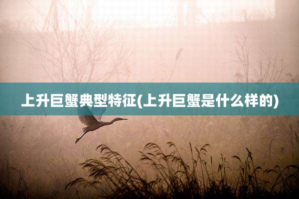 上升巨蟹典型特征(上升巨蟹是什么样的)
