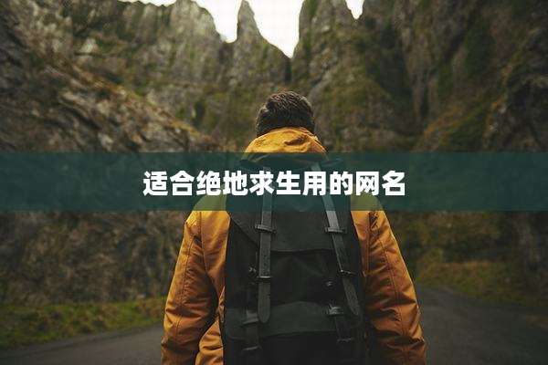 适合绝地求生用的网名