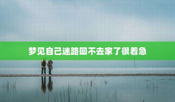 梦见自己迷路回不去家了很着急