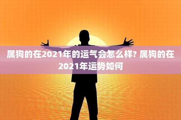 属狗的在2021年的运气会怎么样? 属狗的在2021年运势如何