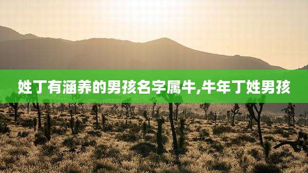 姓丁有涵养的男孩名字属牛,牛年丁姓男孩