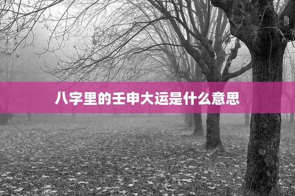八字里的壬申大运是什么意思