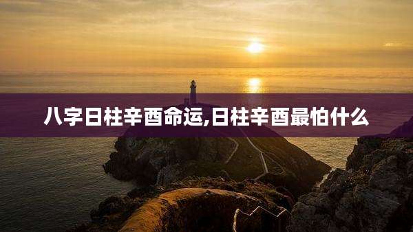 八字日柱辛酉命运,日柱辛酉最怕什么