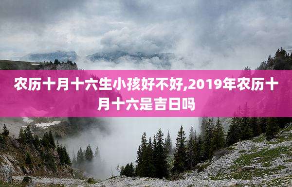 农历十月十六生小孩好不好,2019年农历十月十六是吉日吗