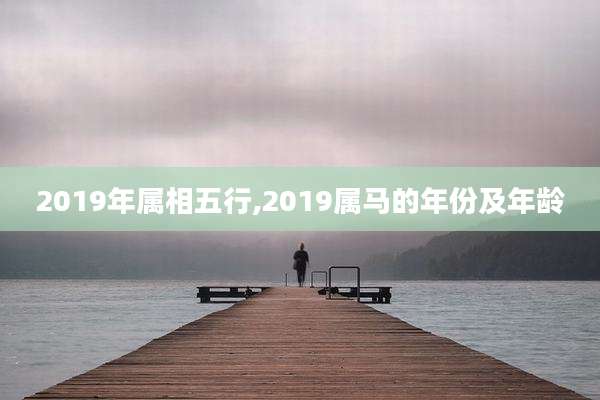 2019年属相五行,2019属马的年份及年龄
