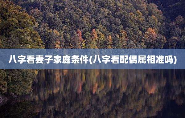 八字看妻子家庭条件(八字看配偶属相准吗)