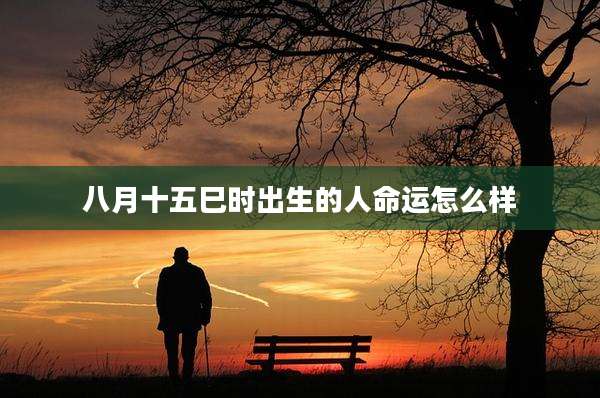 八月十五巳时出生的人命运怎么样