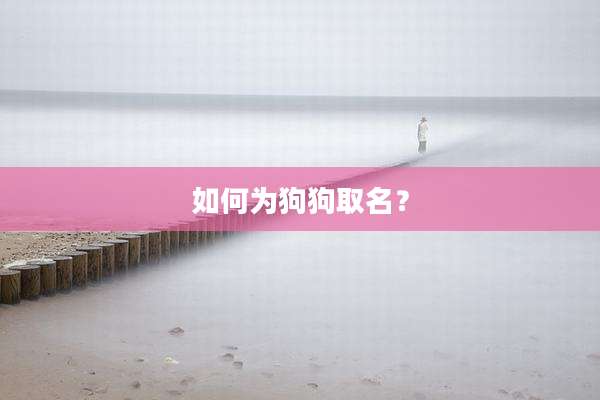 如何为狗狗取名？