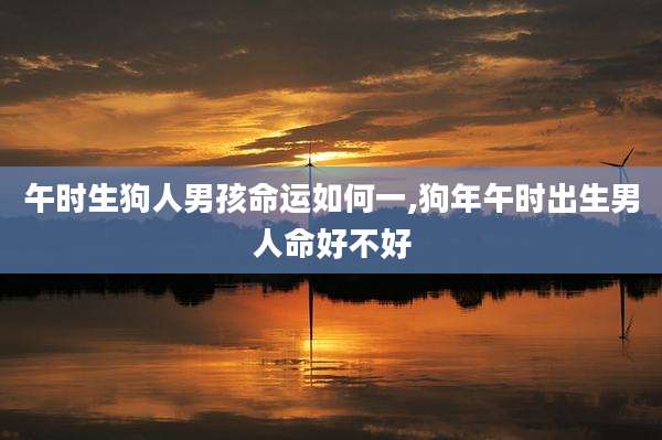 午时生狗人男孩命运如何一,狗年午时出生男人命好不好