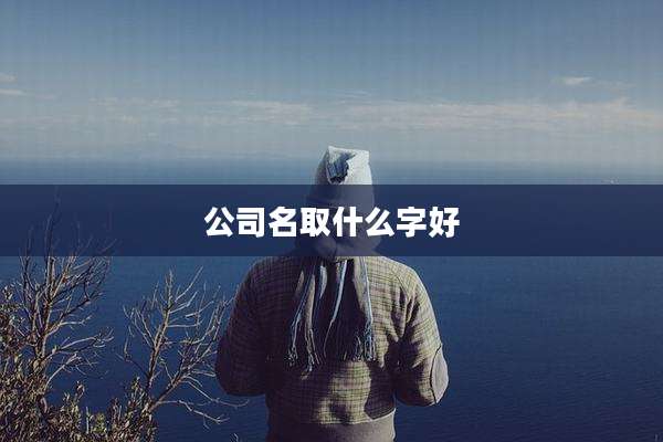 公司名取什么字好
