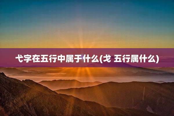 弋字在五行中属于什么(戈 五行属什么)