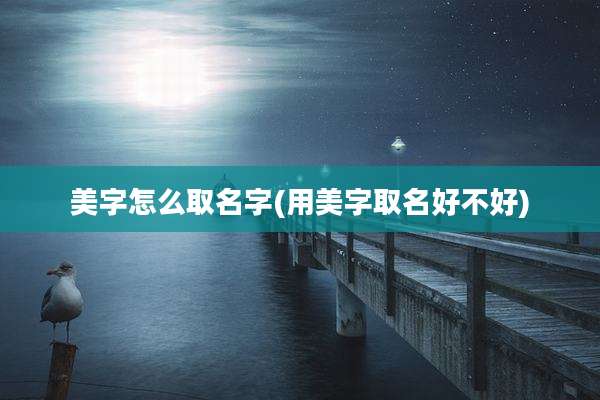 美字怎么取名字(用美字取名好不好)
