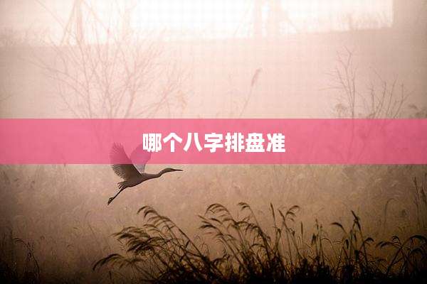 哪个八字排盘准