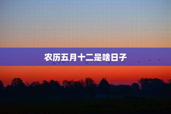 农历五月十二是啥日子