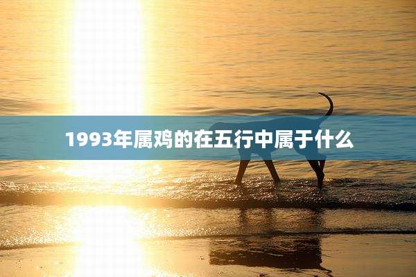 1993年属鸡的在五行中属于什么
