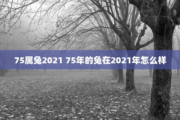 75属兔2021 75年的兔在2021年怎么样