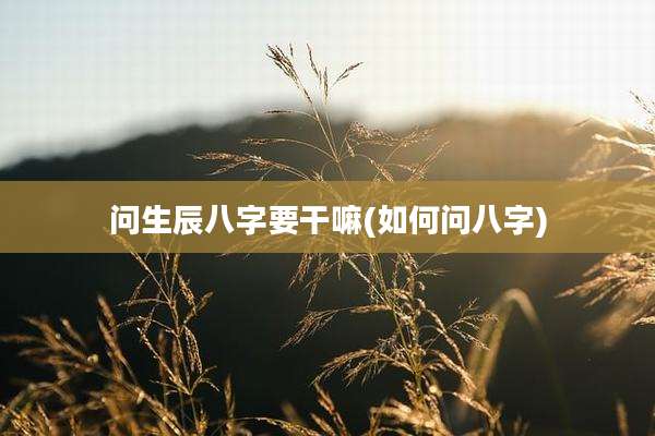 问生辰八字要干嘛(如何问八字)