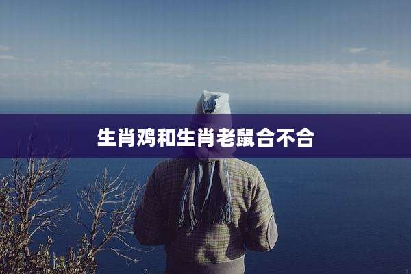 生肖鸡和生肖老鼠合不合