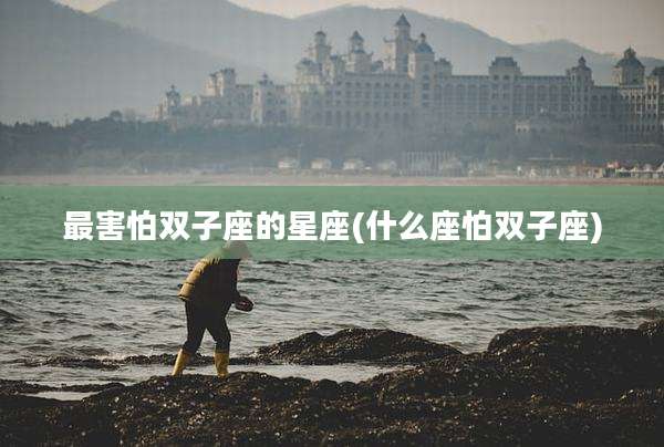 最害怕双子座的星座(什么座怕双子座)