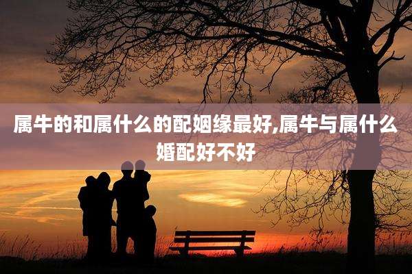 属牛的和属什么的配姻缘最好,属牛与属什么婚配好不好